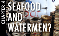 What of the Bay's Seafood and Watermen?