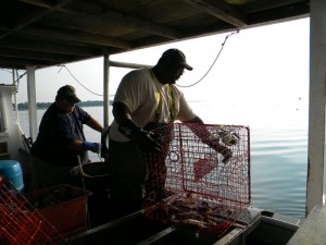 Capt. Bob Evans (left) works alongside Anthony Jones pulling up crab pots near Shady Side, Md. (News21 photo by Allison Frick)